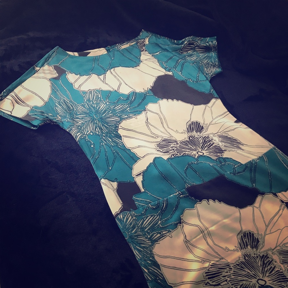 Banana Republic Floral Shift Dress 0